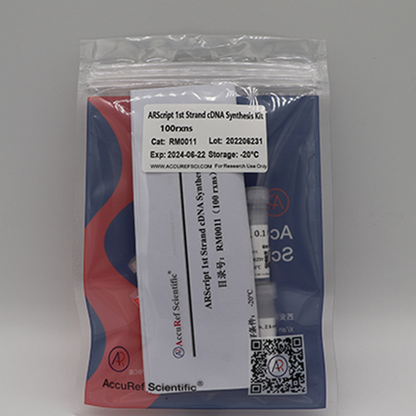 Accuref 1st Strand cDNA Synthesis Kit