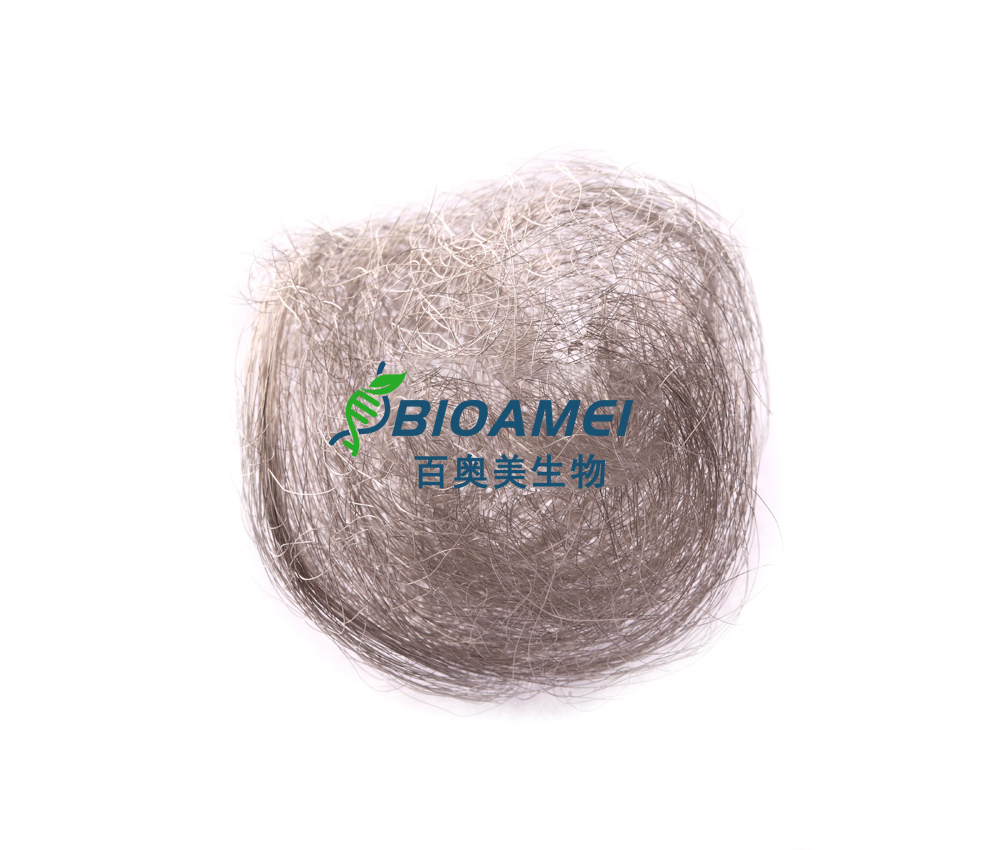 Nickel wool 