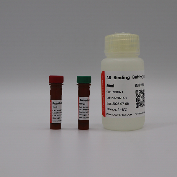 Cell proliferation and apoptosis assays